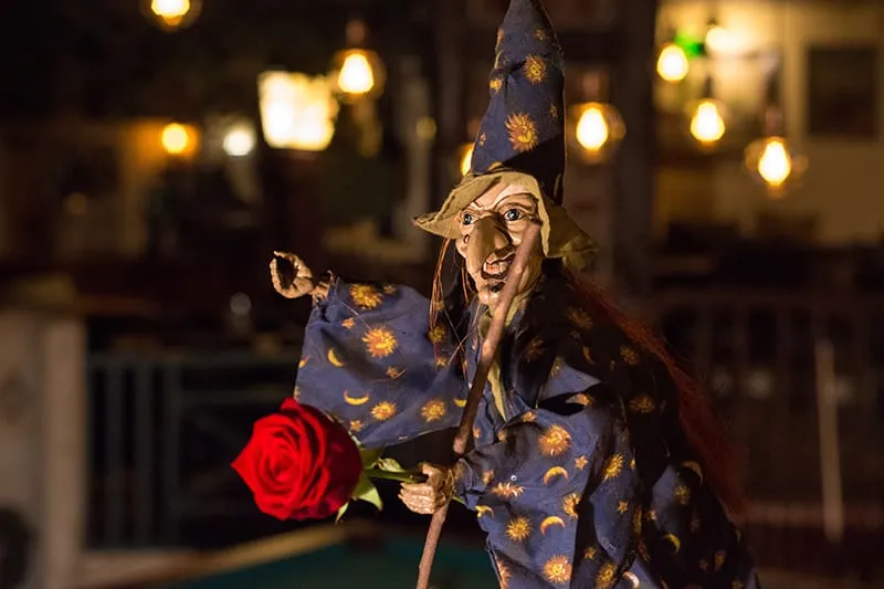 Hexenpuppe mit Spitzhut und Sternenumhang hält eine rote Rose